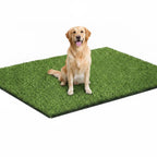 Golden retriever sitting on a washable grass pee pad