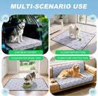 Washable Dog Pee Pads (2-Pack) — Super-Absorbent, Leakproof Training Pads