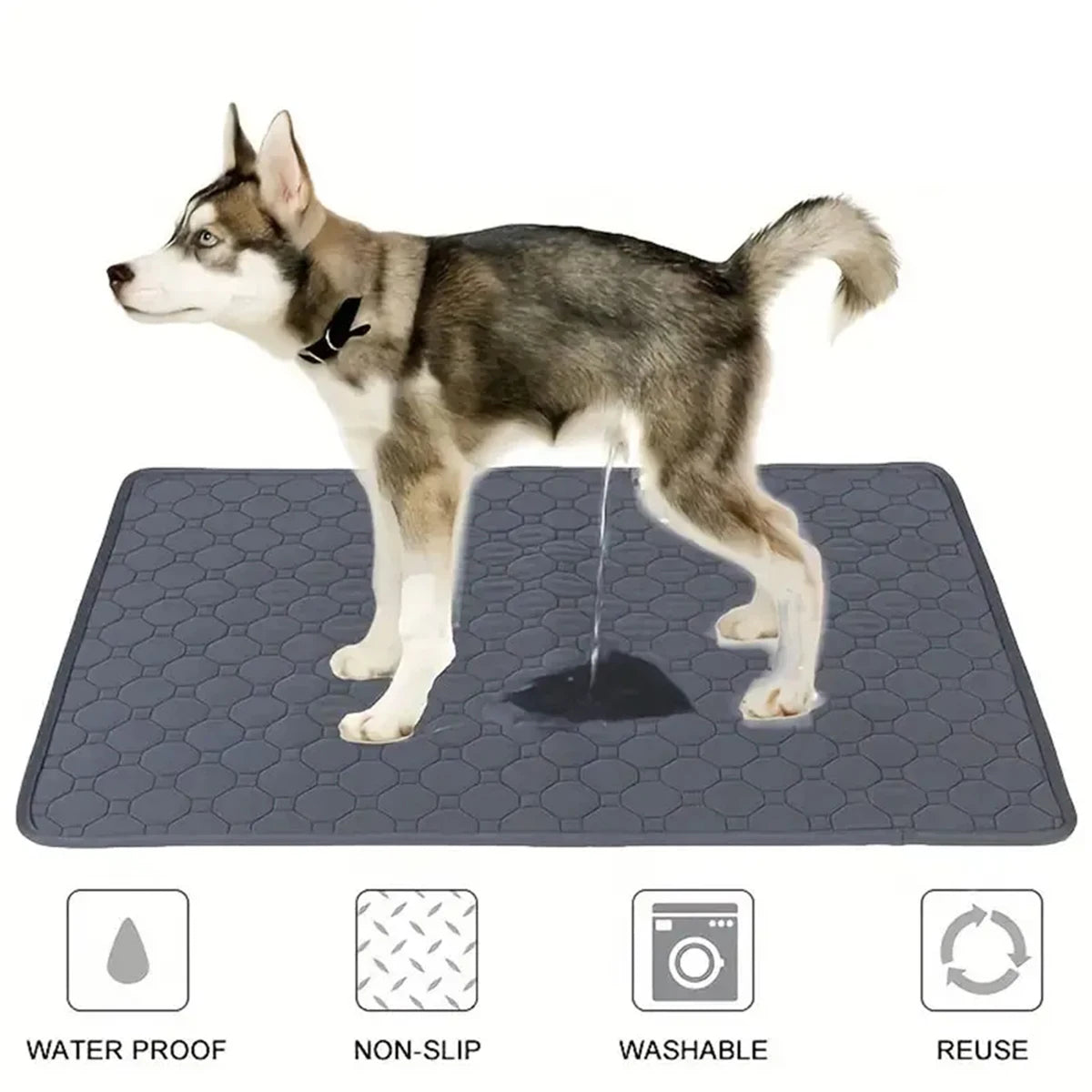 Reusable Washable Pee Pad — Waterproof Dog & Puppy Training Mat