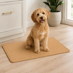 Golden doodle sitting on a reusable pee pad